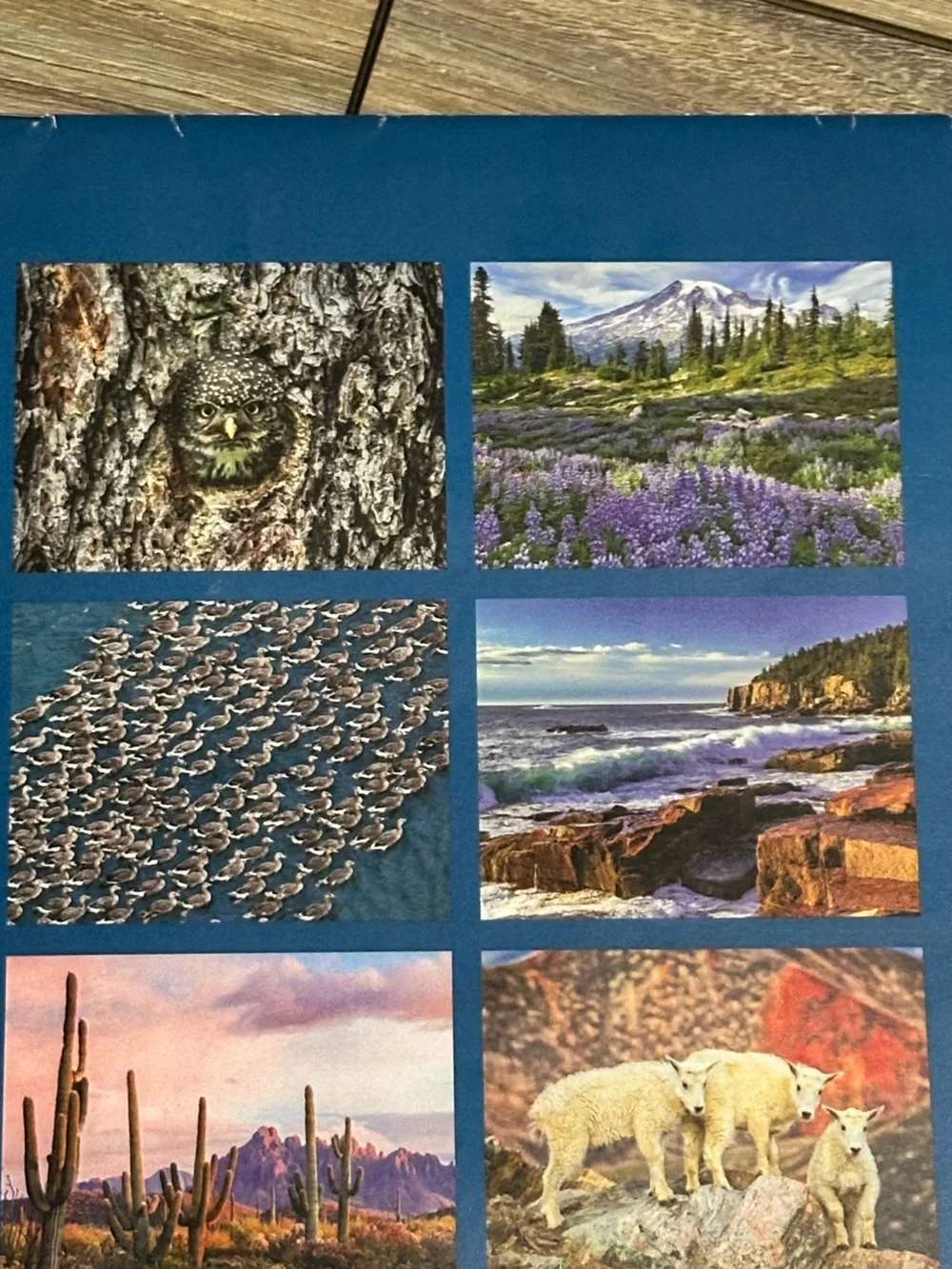 NWT 2026/2027 Wilderness Society 16 Month Calendar